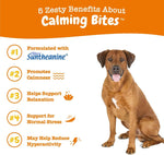 Zesty Paws dog composure and relaxation peanut butter chews packaging side view