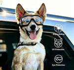 Dog wearing protective eyewear looking out car window