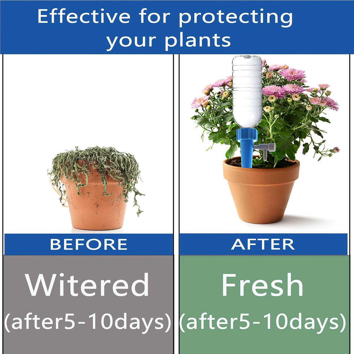 Indoor potted plant being automatically watered with drip device