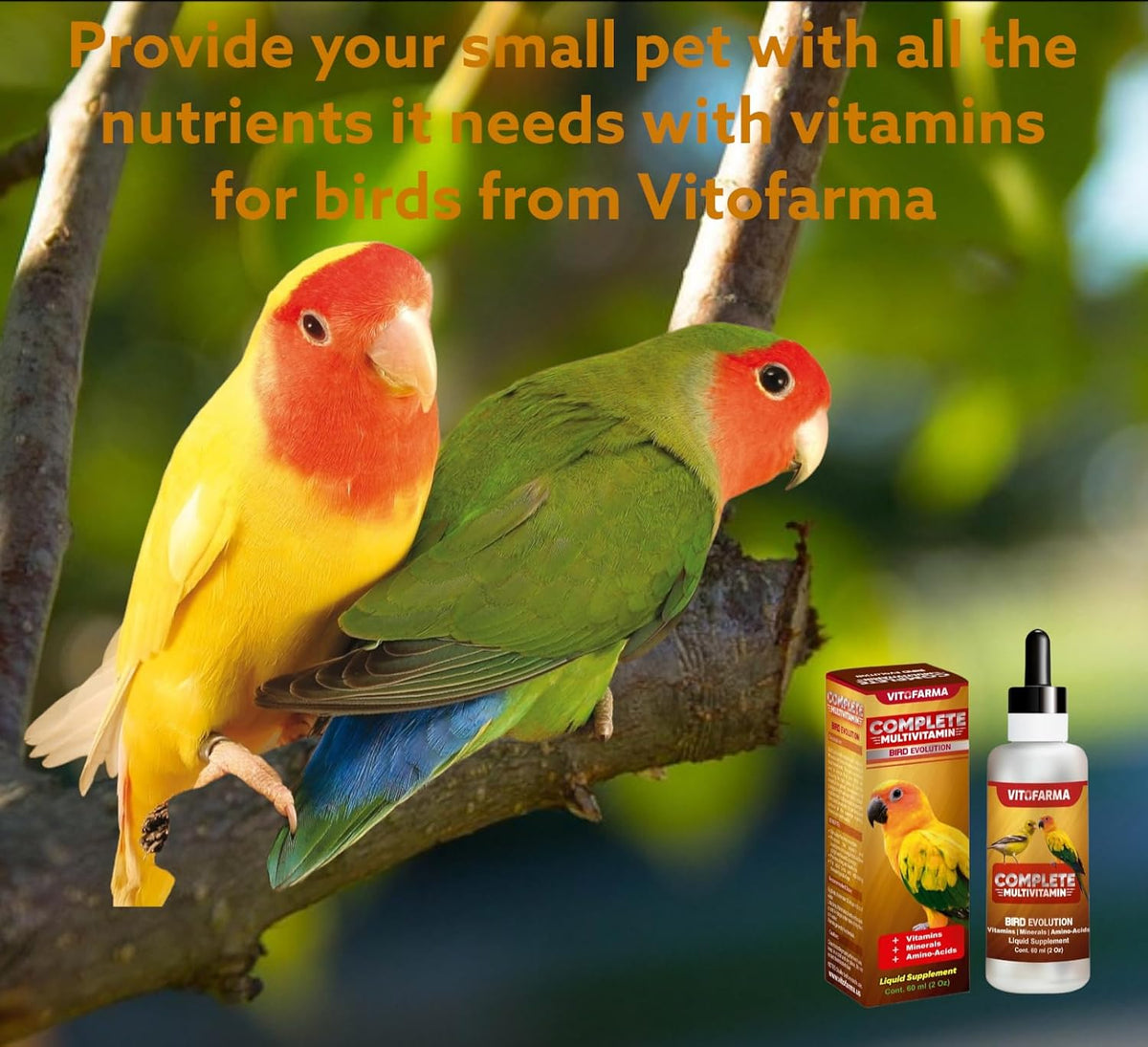 Vitofarma bird liquid multivitamin supplement bottle with easy dosing dropper cap