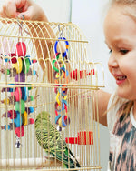 Detailed look at the FSC certified wood elements and edible pigment dyes on the Bissap cascade parrot toy.