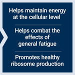 Life Extension Energy Renew 30 vegetarian capsules bottle close up