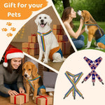 Lamiaraga non slip belly band holders multi pack contents for small medium large dogs.