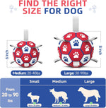 Red Diman 6 inch dog toy ball with nylon handles