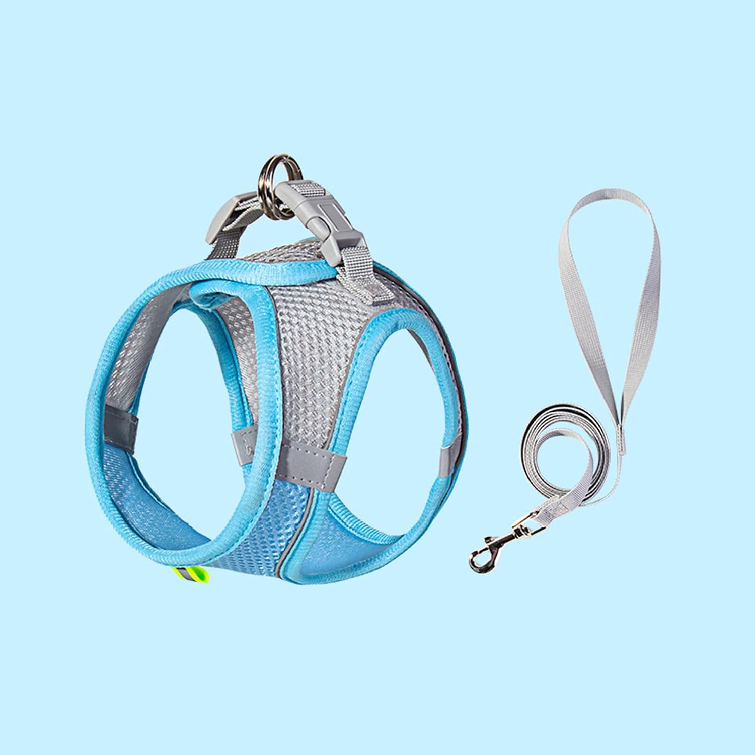 Rishav Pet Care small dog harness and leash set front view