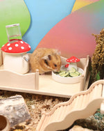 Niteangel freeze dried cucumber snacks scattered inside a clean hamster habitat setup
