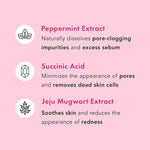 Rael pore melting pack ingredients including salicylic acid and mugwort