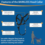 Red no pull dog halter showing adjustable straps and buckles.
