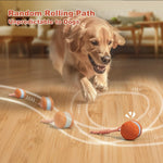 QGI automatic moving dog toy with rope attachment