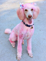Crazy Liberty semi-permanent pet hair dye ingredient label ammonia free