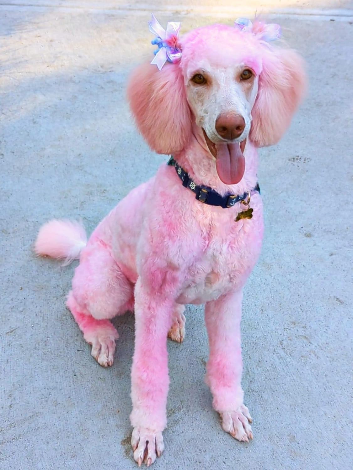 Crazy Liberty semi-permanent pet hair dye ingredient label ammonia free