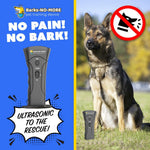 Generic dog training device used in outdoor setting