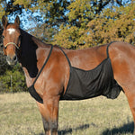 Cashel Fly Sheet Belly Guard Large Black front view horse underbelly protection mesh