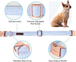 Unique Style Paws blue stripe dog collar metal buckle closeup