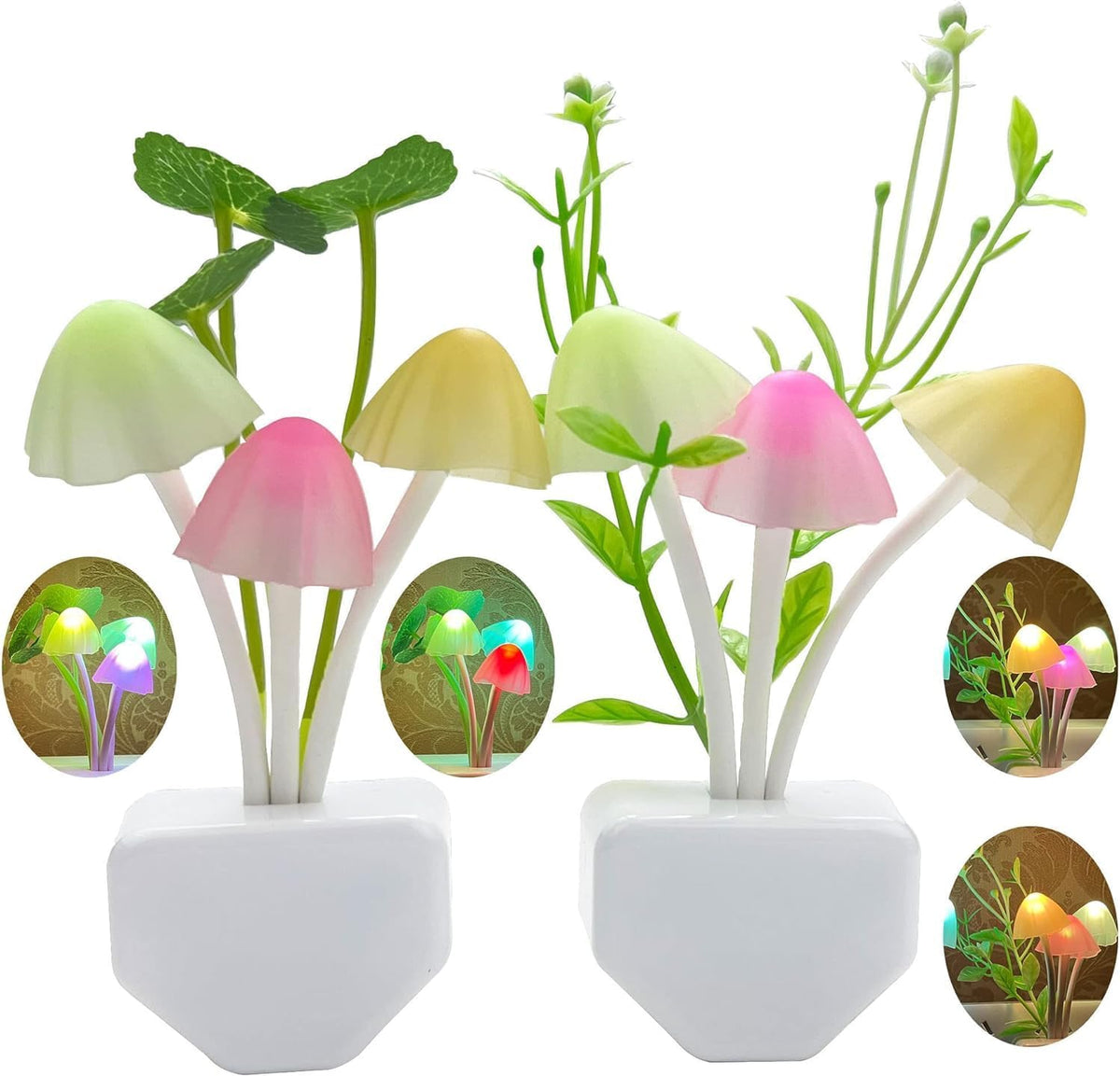 Zezhou sensor mushroom night light front view