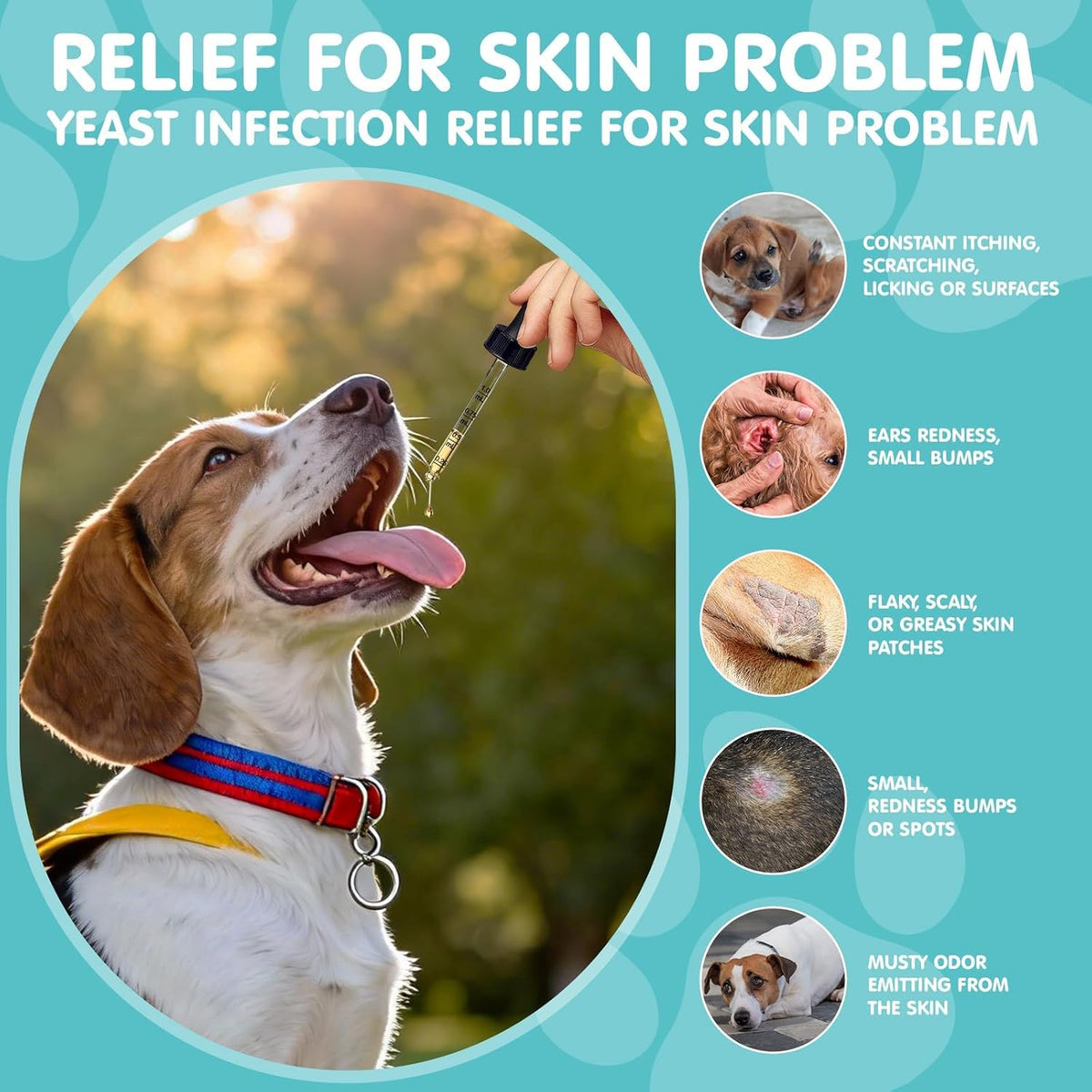 Armoya dog allergy and yeast infection supplement bacon flavor packaging