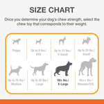 Nylabone Power Chew Basted Blast Dog Chew Toy, Bacon & Steak Flavor | X-large, durable dog toys for aggressive chewers, long lasting, discourages destructive chewing, for dogs 50+ lbs - Image 15