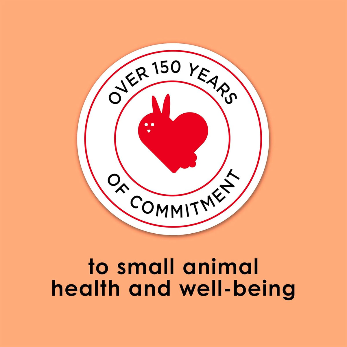 High fiber Timothy hay biscuits for pet rabbit and guinea pig digestive care.