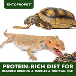 Protein rich dried mealworms and crickets mix for insectivorous pets close up