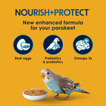 Back of Kaytee Forti-Diet packaging showing nutritional information