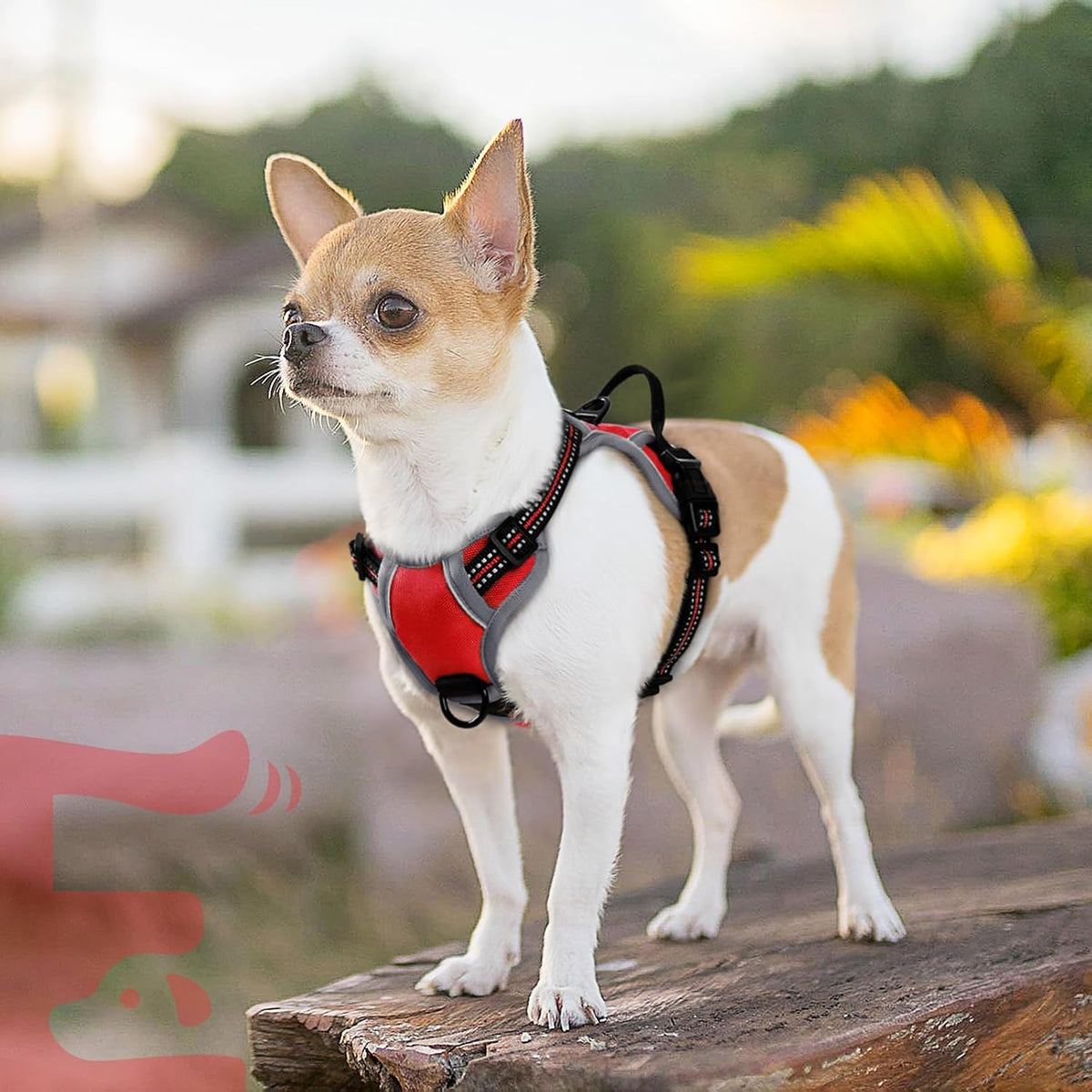 Eagloo Dog Harness for Small Dogs, No Pull Pet Vest with 2 Leash Clips | No Choke with Handle, Adjustable Comfort Fit, Reflective Strips, Easy Walking Control, Red, X-Small - Image 9