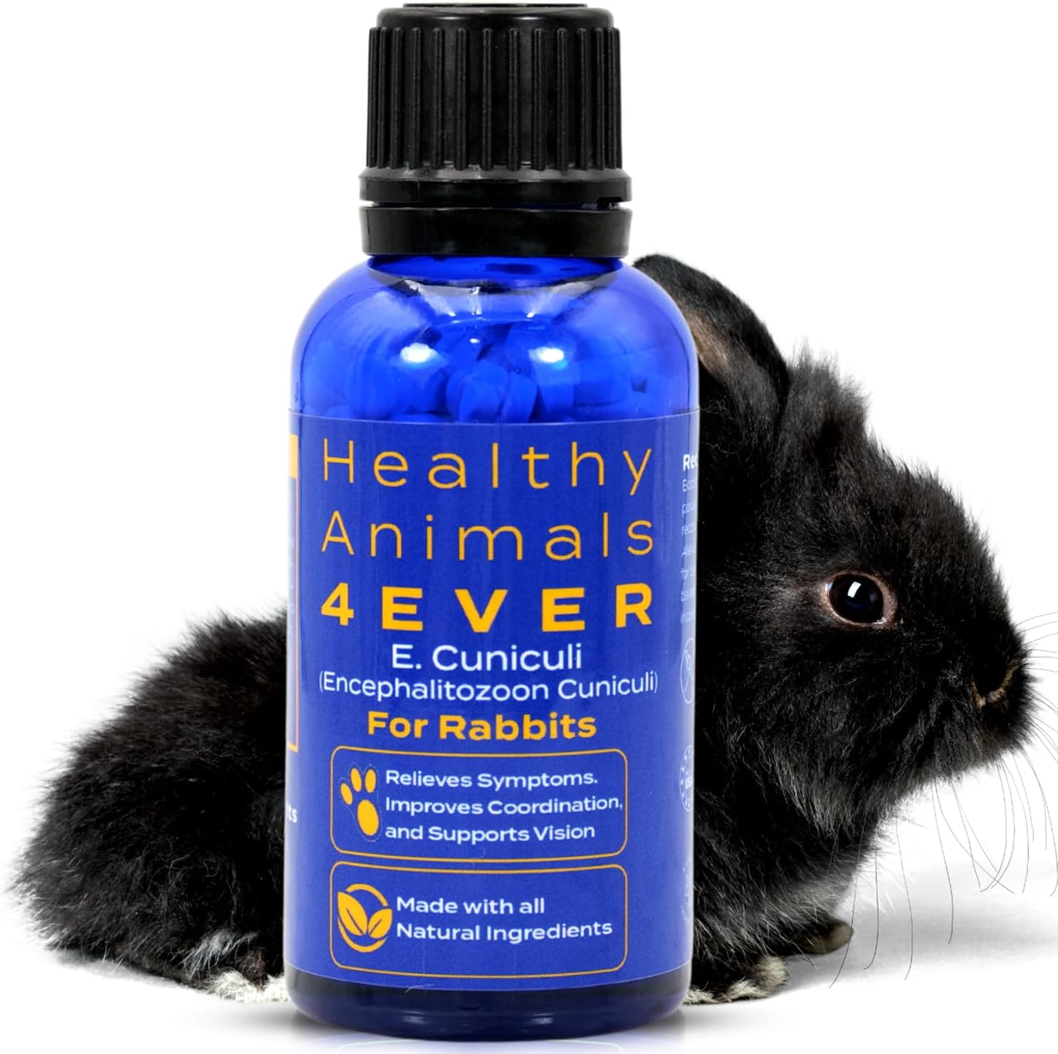 HealthyAnimals4Ever Rabbit E Cuniculi Infection Treatment front view bottle