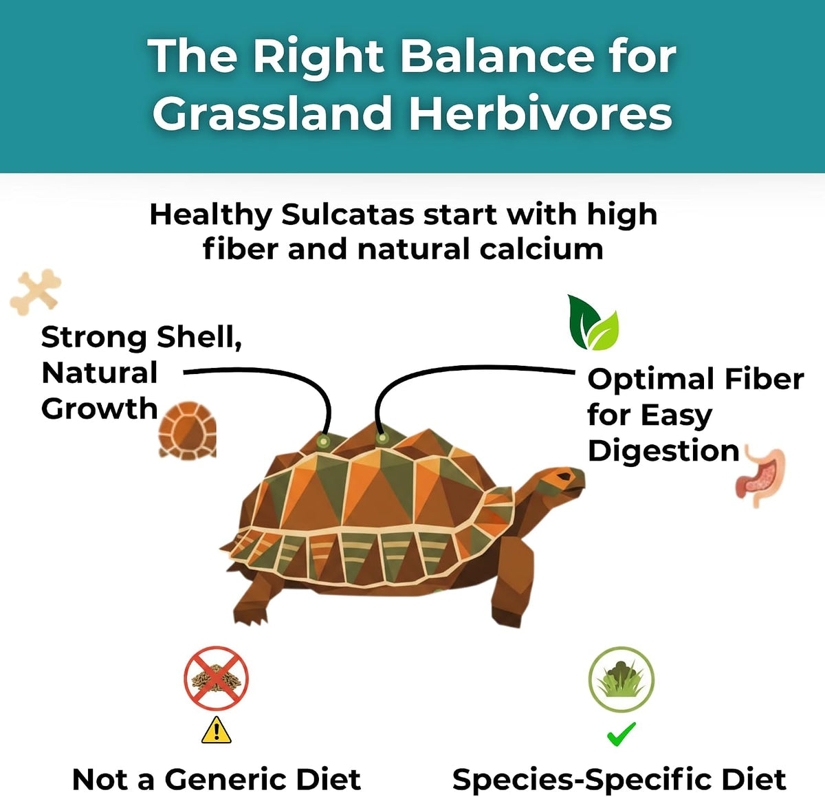 High fiber multivitamin powder for tortoises label details