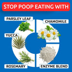 No Poo Chews for dogs showing probiotic benefits