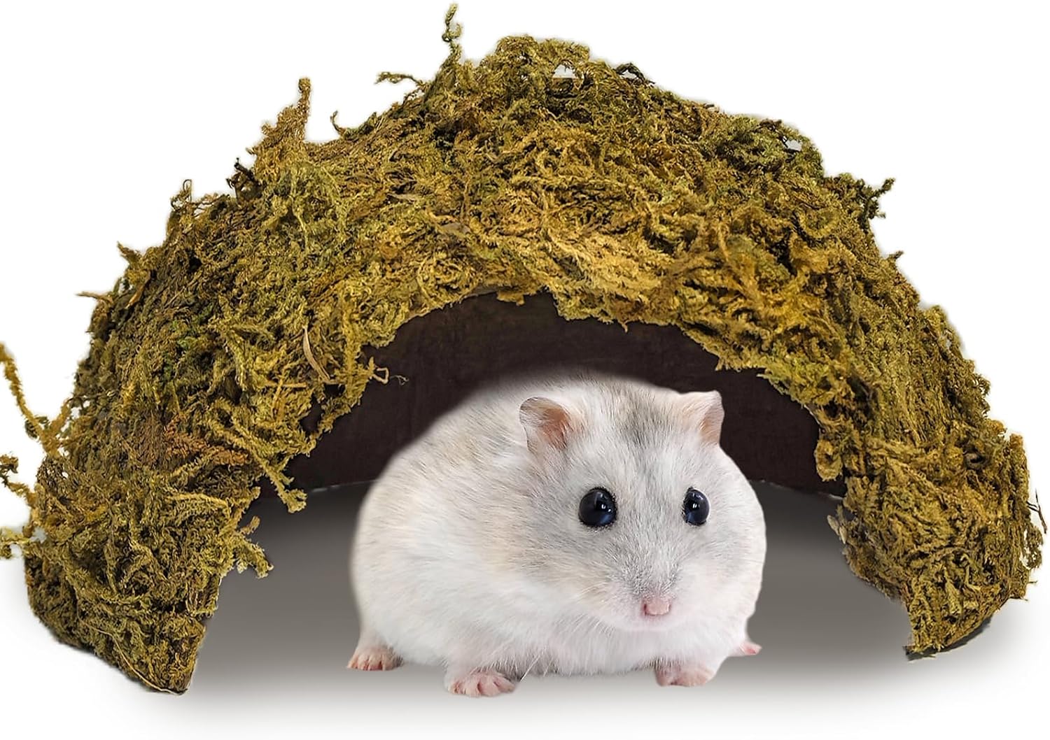 kathson 1Pcs Hamster Hideout, Moss Coconut Hut, Pet Hiding House, Hamster House for Mouse Mice Rat Guinea Pigs Reptiles - Image 1