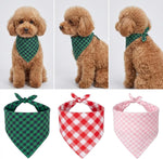 Aniarcanum large dog clothes accessory styled for a puppy birthday celebration.