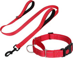 FunTags Reflective Hotpink Martingale Collar (16"-20") & Leash (5ft x 1") for Medium Dog, Escape-Proof with 2 Handles, Safe Night Walks, Durable Nylon, Quick-Release Buckle - Image 12