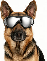 NAMSAN Large Dog Goggles Eye Protection, UV Protection Pet Sunglasses for Dogs Medium to Large Breed, Driving Glasses for Dogs Stick Head Out Car Window, Windproof Dustproof, Adjustable, Clear - Image 14