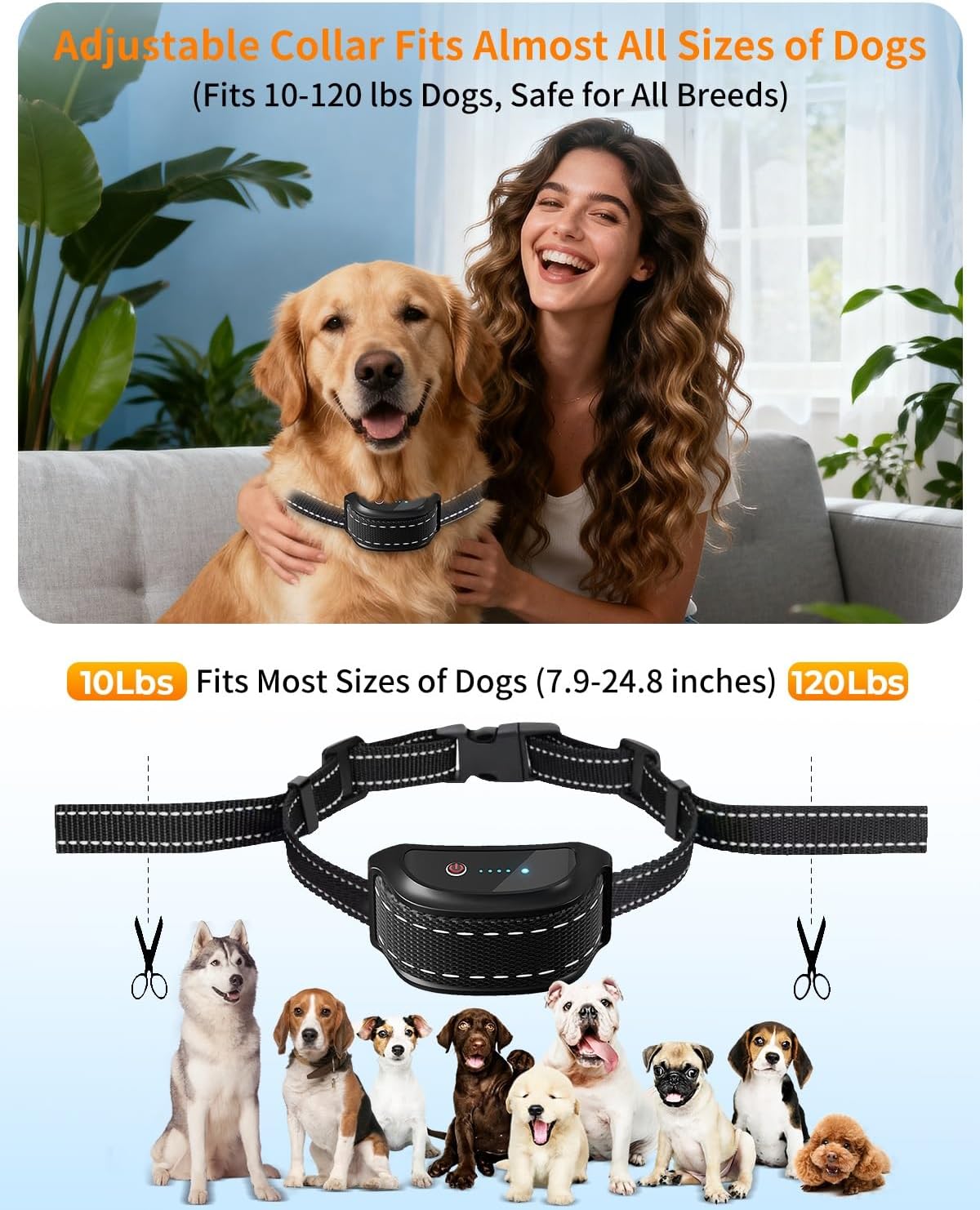 Remote control for dog training with digital display