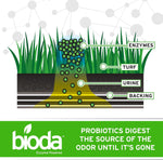 Bioda outdoor enzyme cleaner being sprayed onto backyard artificial grass to remove pet urine smells.