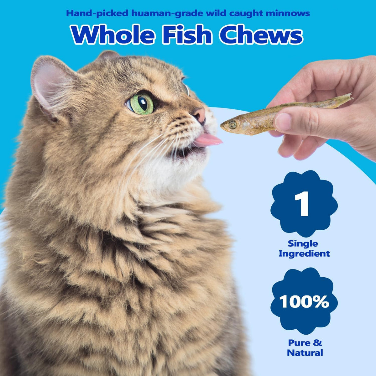 Amzey 3.5oz Minnows Dog Treats - Freeze Dried Minnows Cat Treats - High Protein & Premium Quality Training Treats - Bulk Package (1.6" to 2.8" Length Each) - Image 2