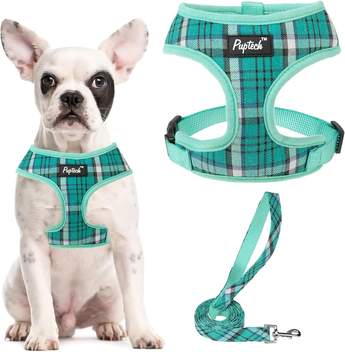 PUPTECK small dog harness and leash set front view