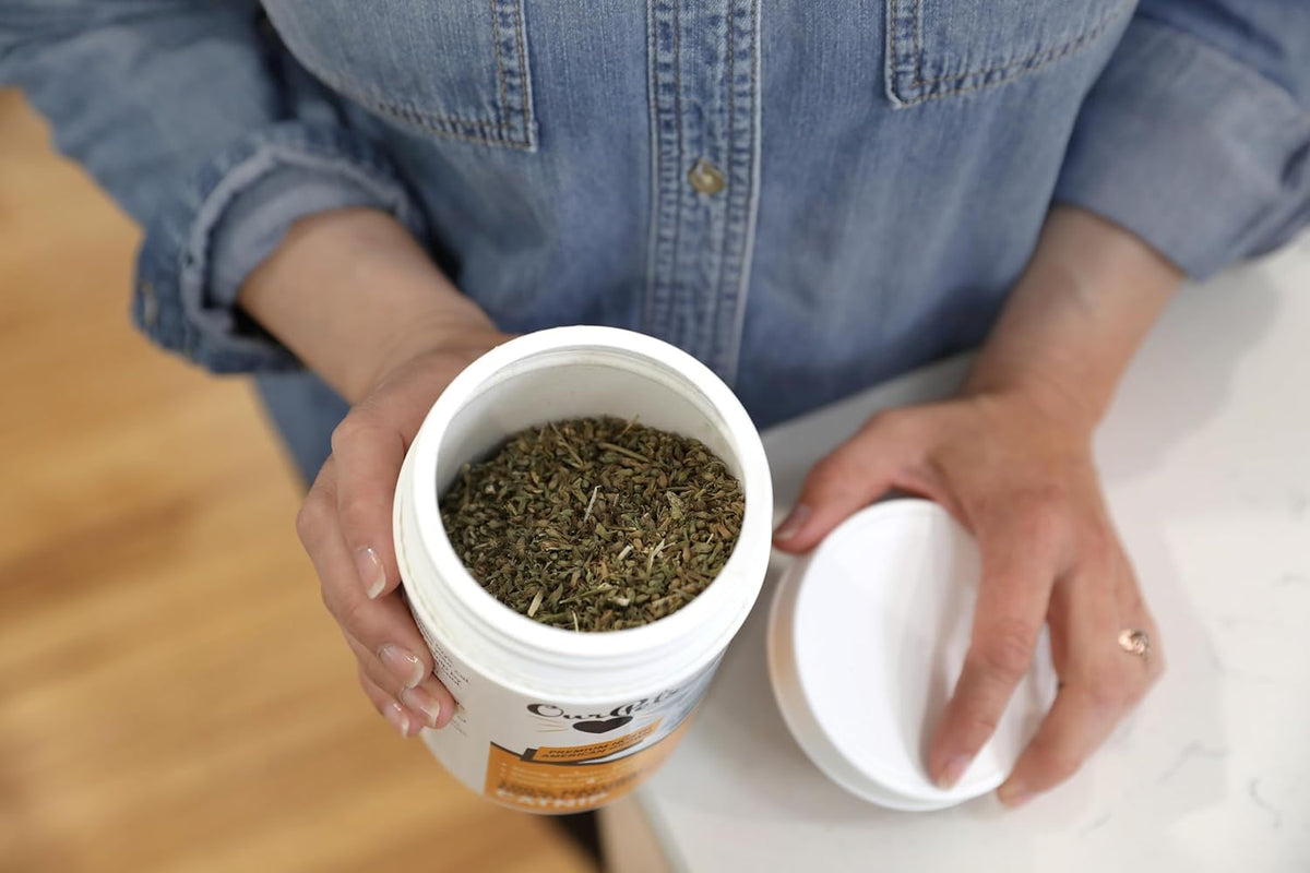 High potency catnip jar by OurPets showing product label details