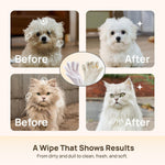 Hicc Pet no-rinse cleaning wipes for pet paws and fur