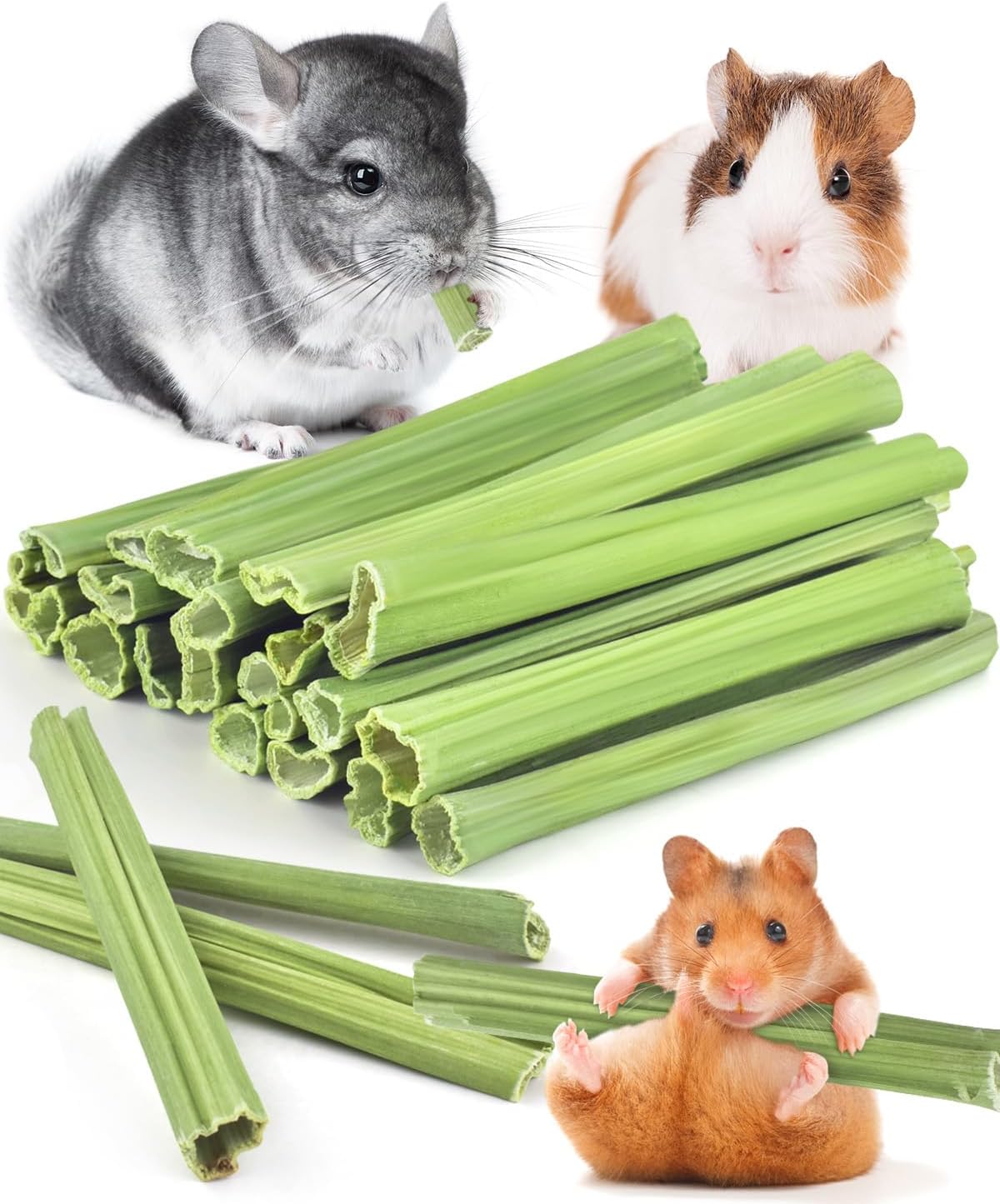 Bissap papaya stem guinea pigs chew sticks front view pack of twenty five pieces