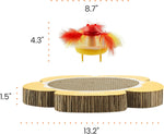 Catstages Daisy cat toy bundle packaging and multicolor design details