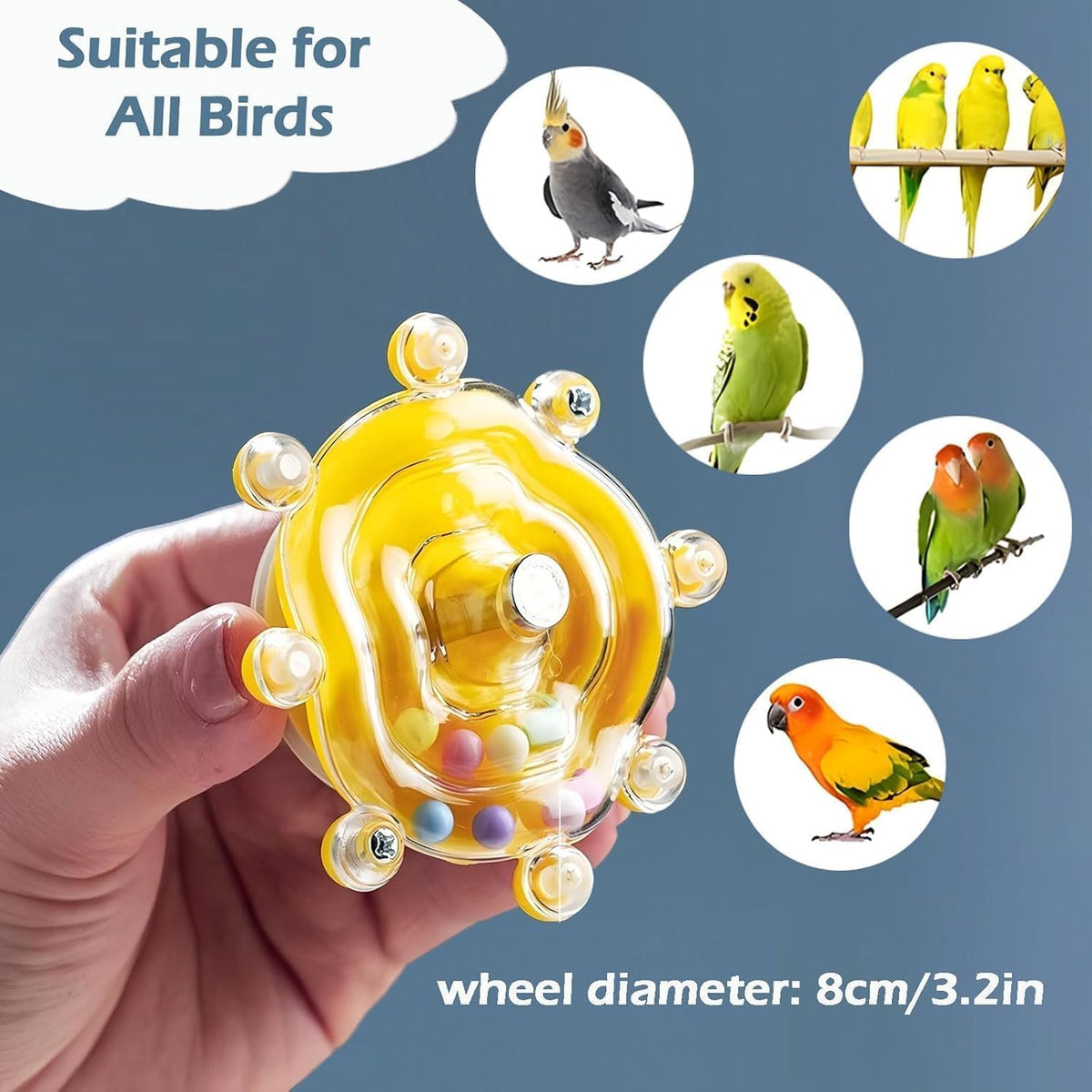 Budgies enrichment toys spinning wheel durability test angle