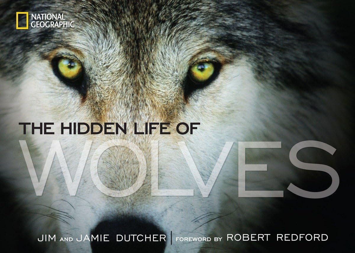 Hidden Life of Wolves, The - Image 1