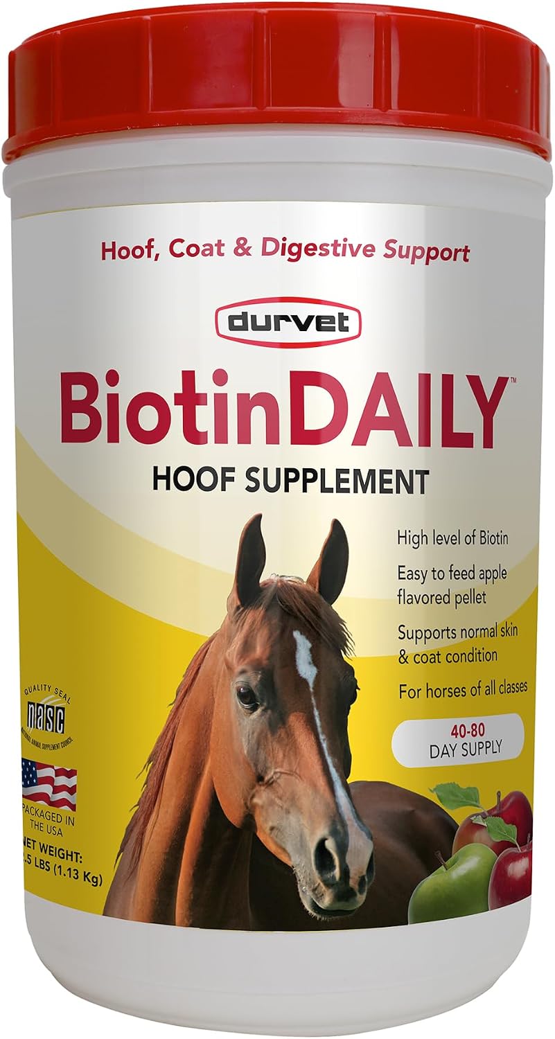 Durvet Biotin Daily Horse Hoof Care 2.5 pound jar front view premium equine supplement