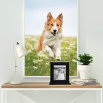 BRKURLEG pet urn displayed with a pet photograph