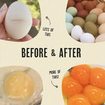 Comparison of a pale yellow yolk next to a deep golden yolk from Roosty's supplement