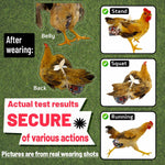 Indoor chicken wearing Revoloza reusable cloth harness side view