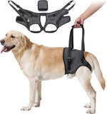 Heywean dog sling for large dogs hind leg support harness front view