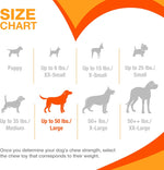 Side angle of Nylabone durable dog chew toy in peanut butter flavor