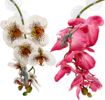 Chuangdi 2 Pieces Artificial Phalaenopsis with Suction Cups Terrarium Plant Decoration Reptile Habitat Plant Decor for Hermit Crab Lizards Geckos Snake Reptile (Dark Pink, White Yellow) - Image 11