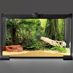 High definition reptile habitat backdrop with lush green ferns and giant roots.